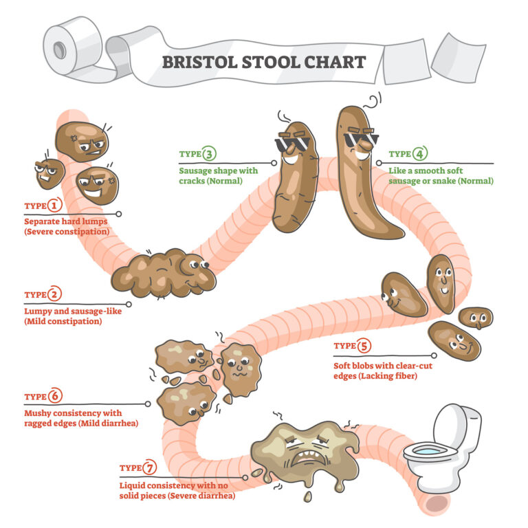 Bristol Stool Chart Humorous Medical Chart.ipeg  768x768 